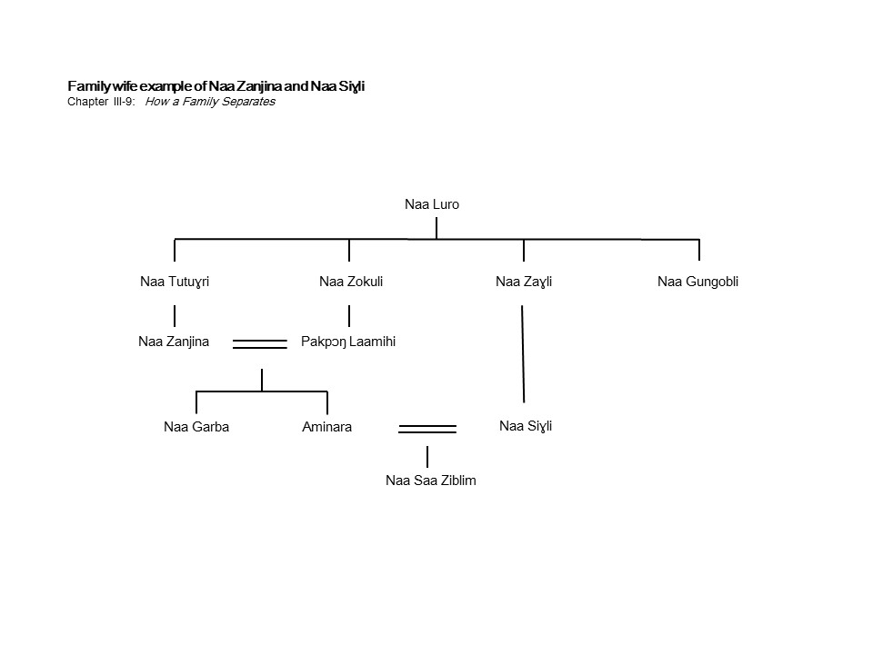 Family wife example (figure)