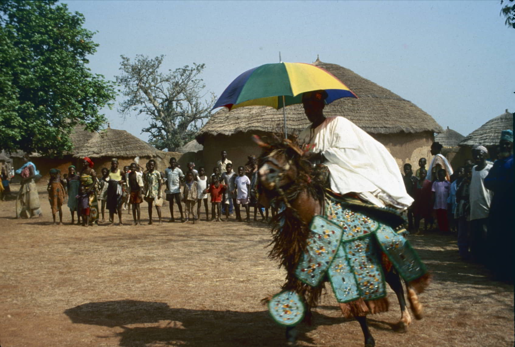 Damba horsemanship display