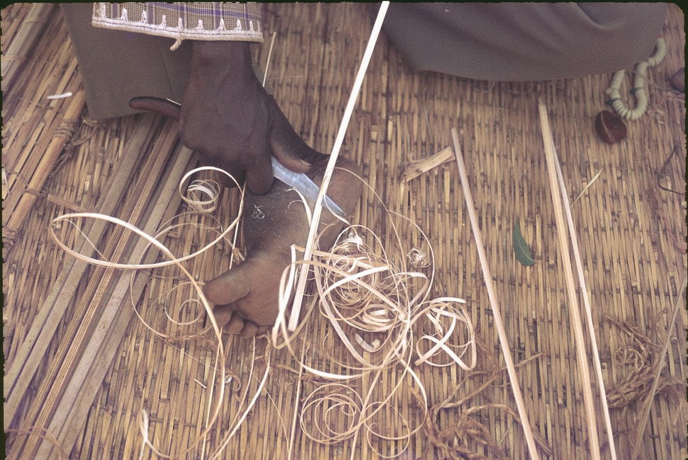 stripping the reeds