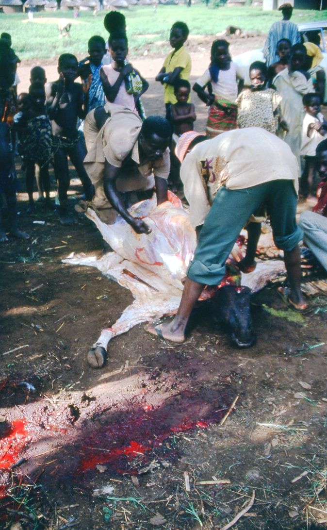 Diarilana funeral