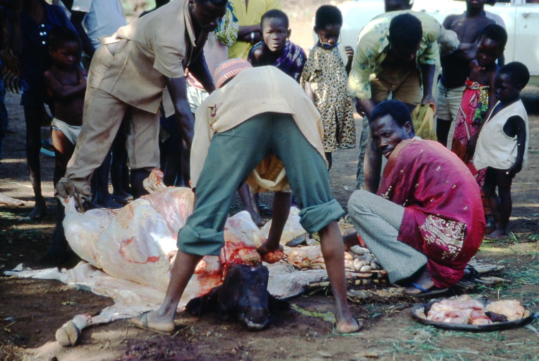 Diarilana funeral