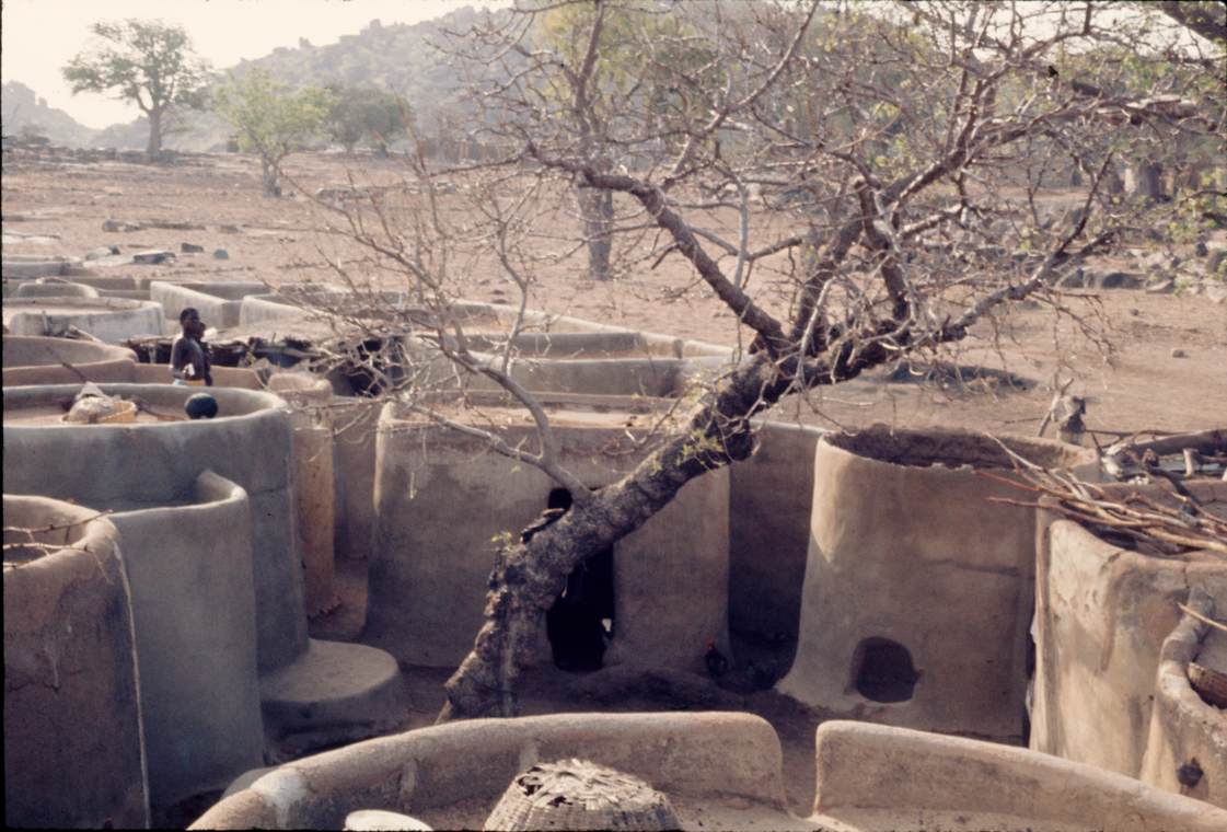 view from the roof of the tindana's house