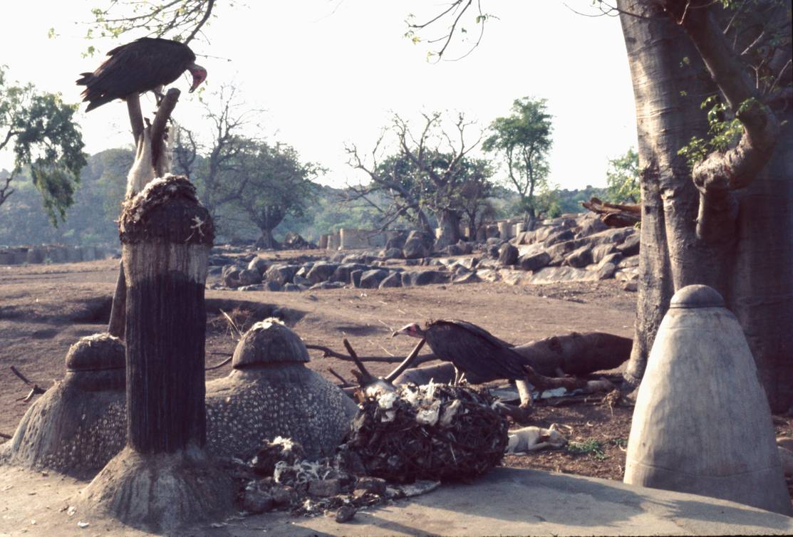 house shrines with vultures