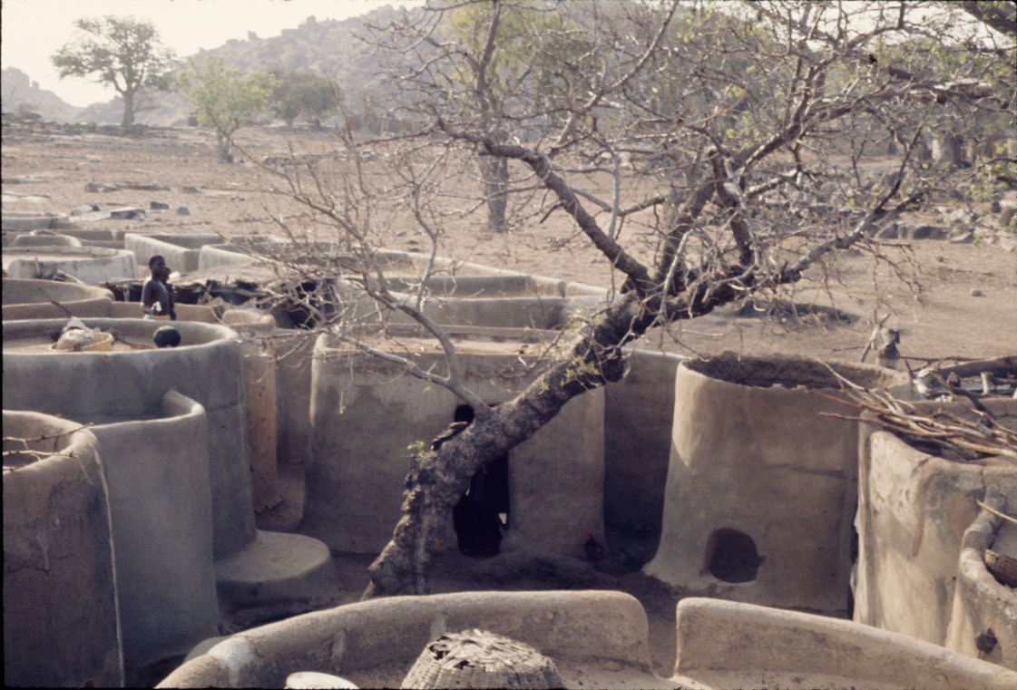 view from the roof of the tindana's house