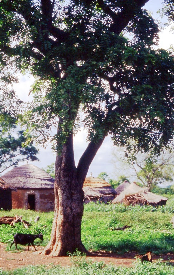 village scene